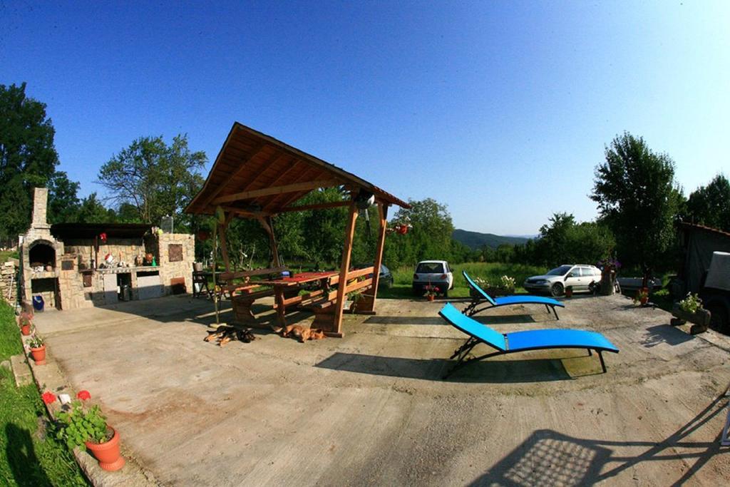 Cuibul Salamandrelor Hotel Sarmizegetusa Buitenkant foto