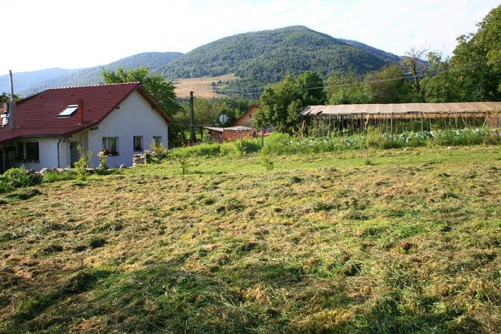 Cuibul Salamandrelor Hotel Sarmizegetusa Buitenkant foto