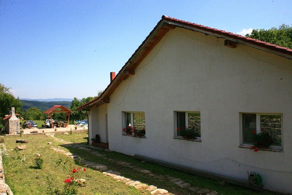 Cuibul Salamandrelor Hotel Sarmizegetusa Buitenkant foto
