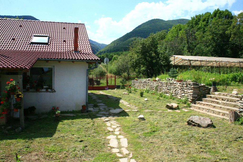 Cuibul Salamandrelor Hotel Sarmizegetusa Buitenkant foto