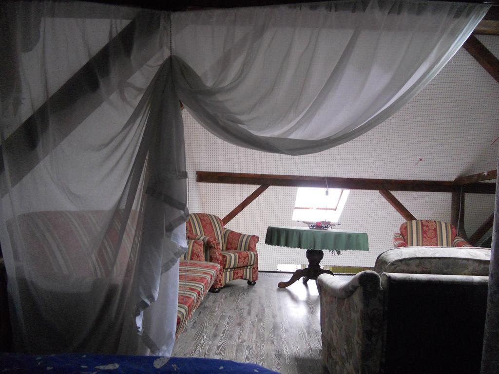 Cuibul Salamandrelor Hotel Sarmizegetusa Buitenkant foto