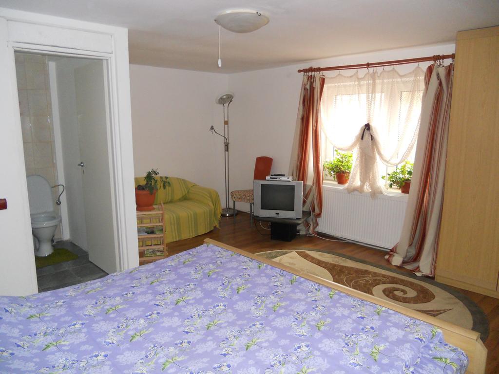 Cuibul Salamandrelor Hotel Sarmizegetusa Buitenkant foto