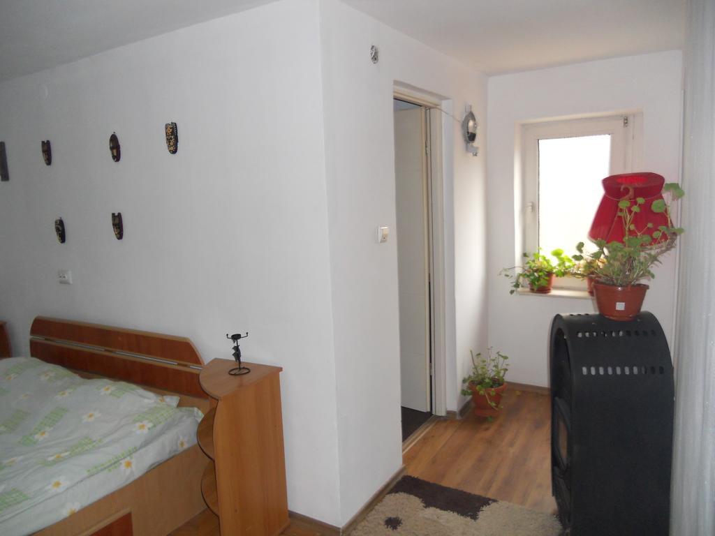 Cuibul Salamandrelor Hotel Sarmizegetusa Buitenkant foto