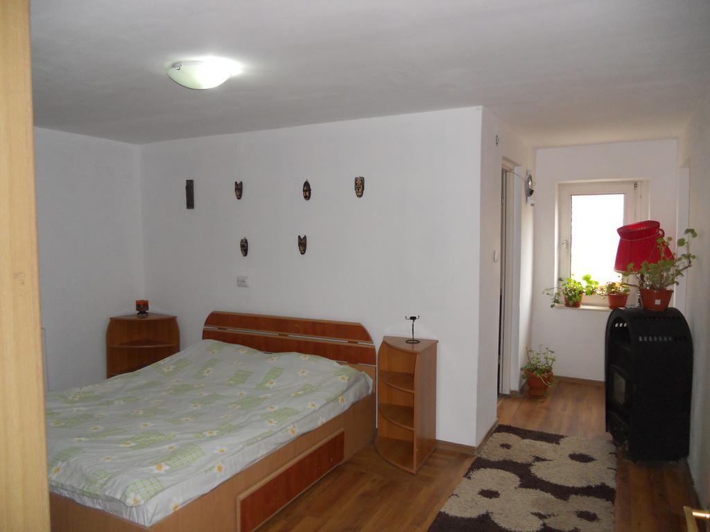 Cuibul Salamandrelor Hotel Sarmizegetusa Buitenkant foto