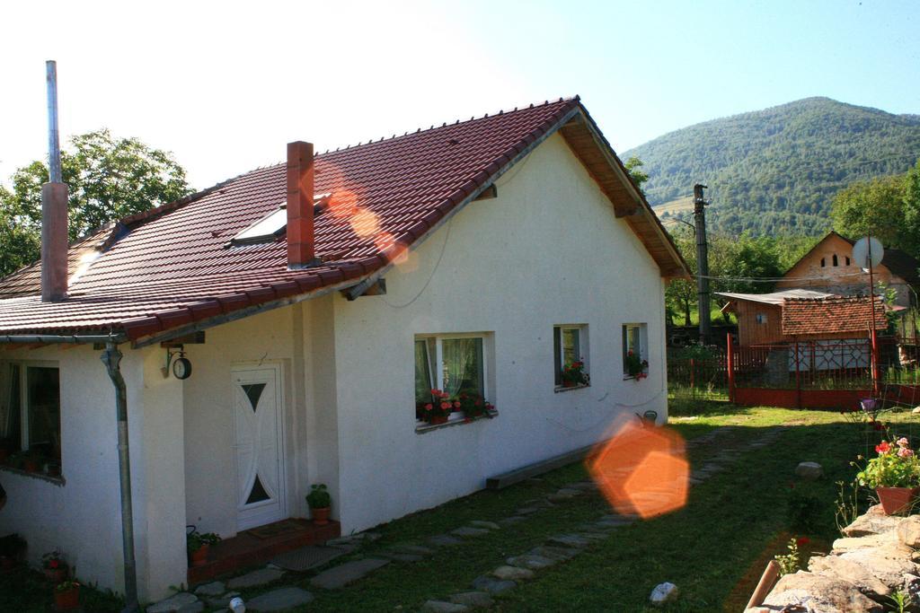 Cuibul Salamandrelor Hotel Sarmizegetusa Buitenkant foto